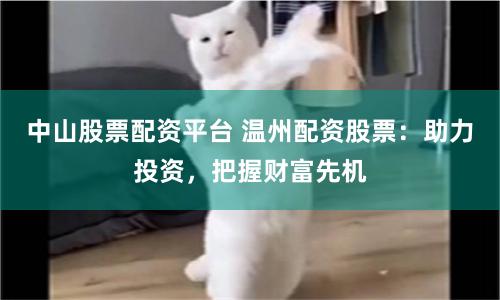 中山股票配資平臺(tái) 溫州配資股票：助力投資，把握財(cái)富先機(jī)