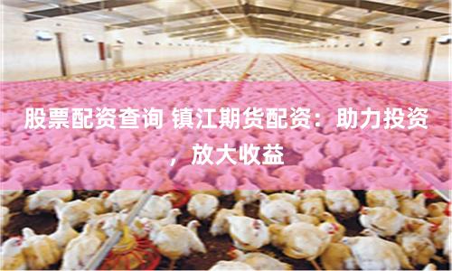 股票配資查詢 鎮(zhèn)江期貨配資：助力投資，放大收益